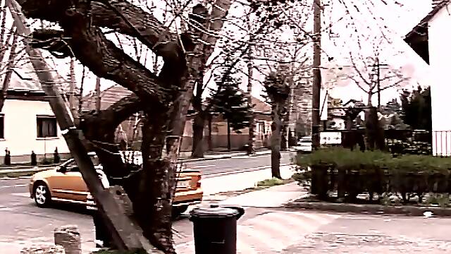 Vedova Della Camorra (full Movie)