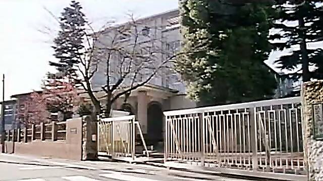 Japans Ongecensureerd Video's