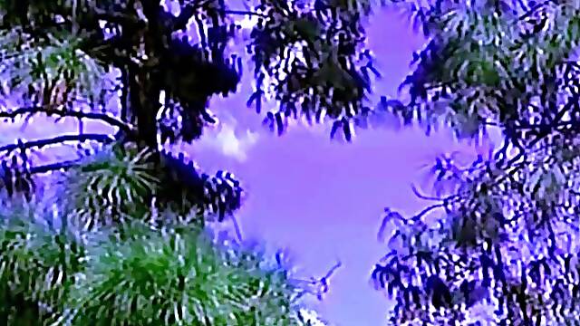 Macho Wannabe (USA 1992, Victoria Paris, Sunny Mc Kay)60fps - Victoria paris