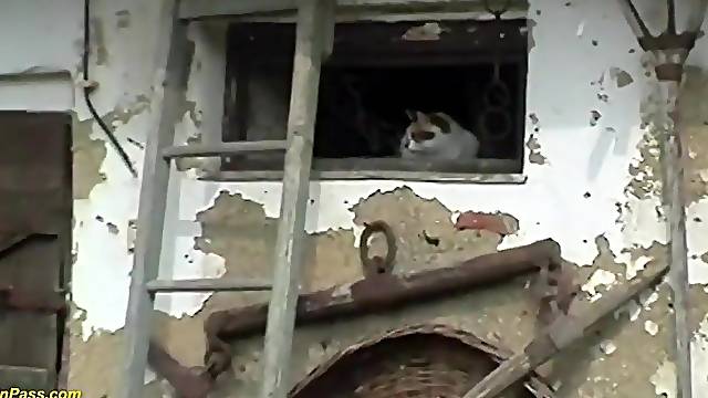 Unsightly grandma bangs grandson outdoor