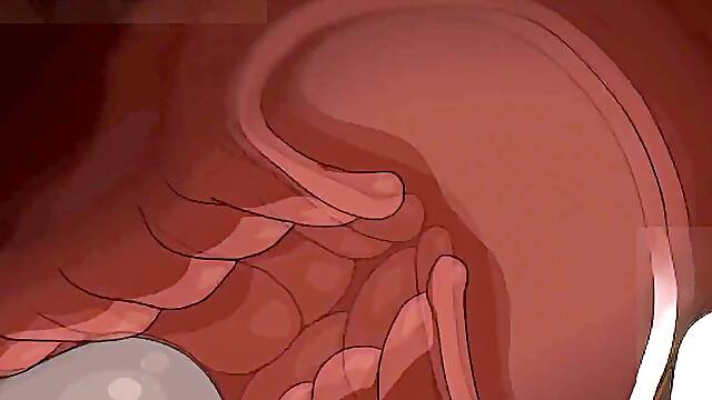 애니메이션 비디오