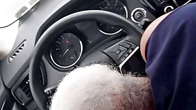 Car Blow Job Compilation