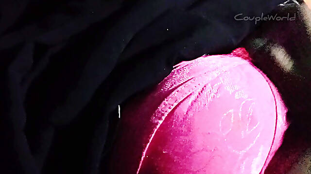 Beautiful Bhabhi and her Boyfriend sex video