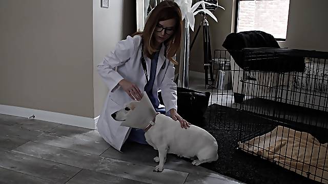 Sexy doctor gets her pussy and butt pounded by a stranger on the bed