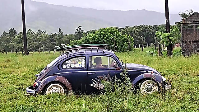 Playing in the Mud with the Beetle